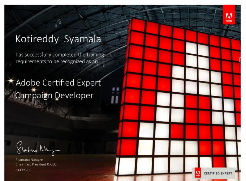 Certified Developer in Adobe Campign